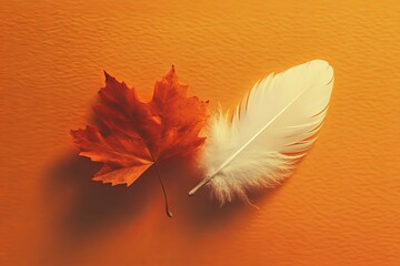 white feather and orange maple leaf National Day for Truth and Reconciliation in Canada 