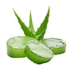 Set Of Fresh Aloevera Slices PNG with Alovera Plant isolated on white and transparent background - Organic Aloe vera piece leaf pulp For Skin Care Advertising Concept