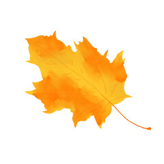 Yellow Maple leaf yellow and orange color. Watercolor digital illustration isolated 