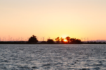 Fototapeta premium River sunset with trees on a levee