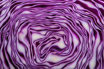 Obraz premium A close up of the interior texture and pattern inside a sliced purple cabbage