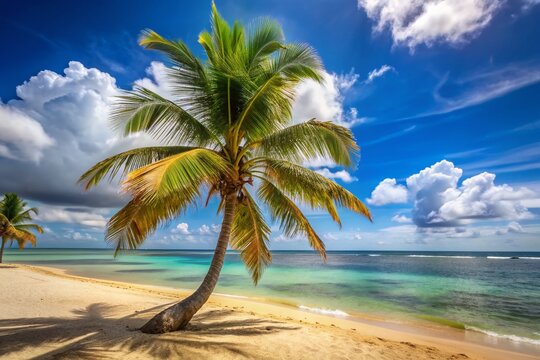 Serene tropical scene featuring a tall coconut palm tree swaying gently in the breeze on a sunny day at a picturesque beach in Morrocoy National Park, Venezuela.