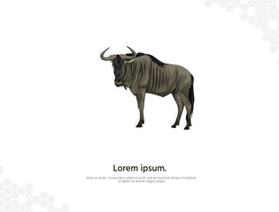 Wildebeest vector art for wall decoration