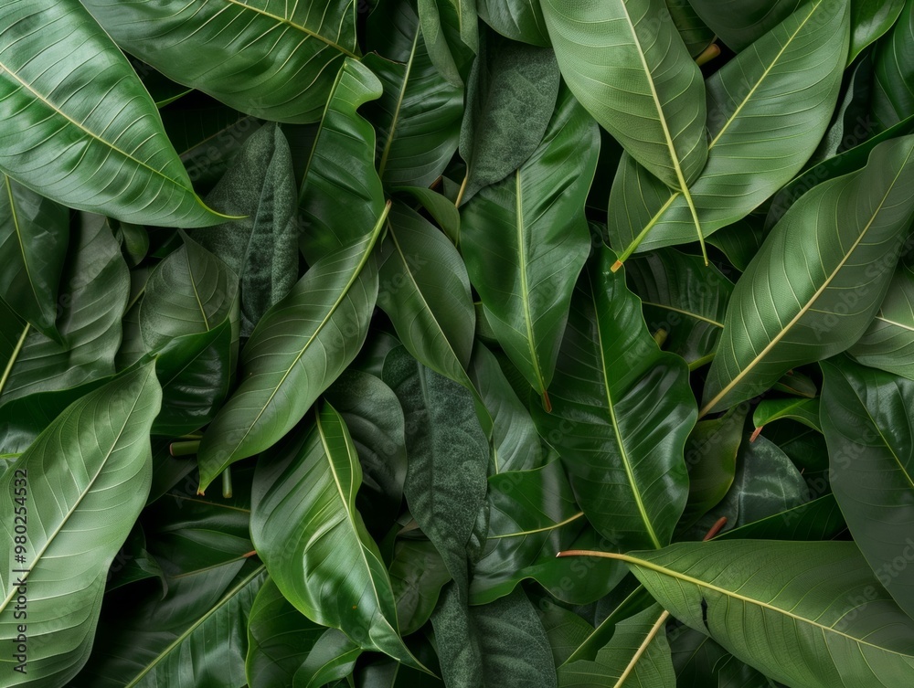 Poster aerial view of green leaf bags in symmetrical geometric pattern with intricate detail and diffused l