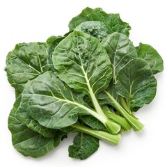 A collection of fresh green spinach leaves, laying flat on a white background.