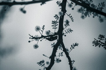 Arboretum Fall 2024 Collection