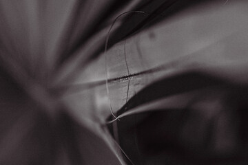 Arboretum Fall 2024 Collection