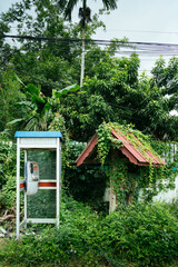 Phone booth in the dschungel 