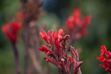 Arboretum Fall 2024 Collection