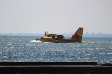 CIAS2024