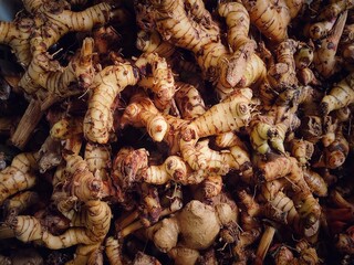 A close-up of freshly harvested galangal roots displayed in bulk. The earthy textures and vibrant tones of the rhizomes highlight their freshness, ideal for culinary and medicinal use