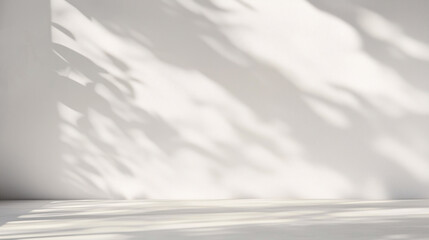 Empty white spacious room or bright studio with sunlight and shadows of window