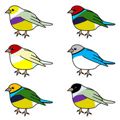 ポップで可愛いコキンチョウ達