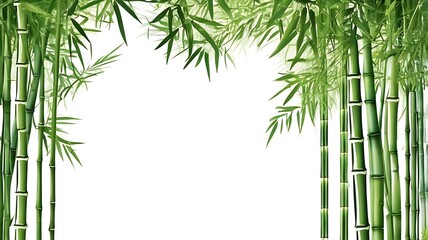 Fototapeta premium Right-aligned clump of bamboo, flat design on white background