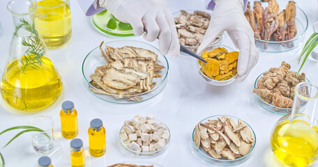 A scientist using tweezers carefully picks turmeric slices from a petri dish, the table is filled with a variety of herbs, roots, and lab supplies. Photo template for studying natural remedies.