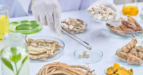 A laboratory background showcases a scientist uses tweezers to pick up a piece of dried mushroom from a petri dish, surrounded by various herbs, roots, and lab equipment.
