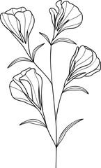 Floral line art vector