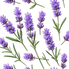 Naklejka premium Lavender Sprigs with Purple Blooms