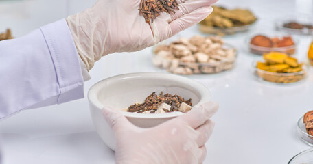 A laboratory setting showcasing a scientist hand sprinkles dried herbs into a mortar filled with chunks of another herb. The scene of blending natural ingredients for herbal remedies.
