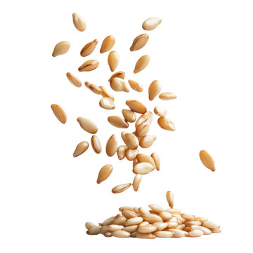A beautiful display of sesame seeds falling gracefully onto a pile, showcasing their natural texture and light color. transparent background