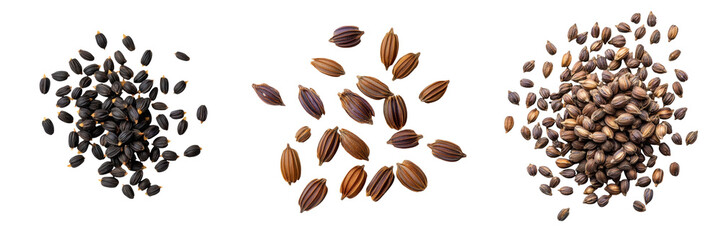 Obraz premium A collection of diverse seeds showcased in various shapes and colors, perfect for showcasing the beauty of nature's bounty. transparent background