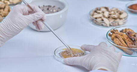 A scientist hand holds a petri dish filled with fine powder, while another hand stirs a mortar filled with a similar mixture. The scene reflects the art of blending herbal components in a lab.