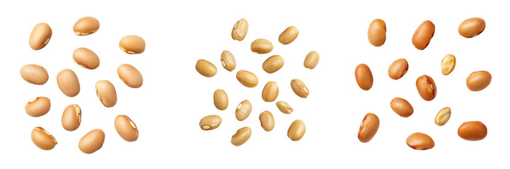 Obraz premium An array of assorted beans showcasing different colors and shapes on a white background, ideal for food and nutrition concepts. transparent background