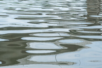 water ripples in the water