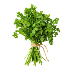 Fresh parsley bundle with vibrant green leaves, perfect for culinary use or garnish in various dishes. transparent background