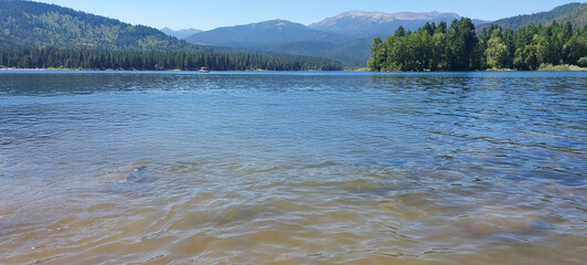 Shasta lake with a distant forest and mountain range under a clear sky, showcasing peaceful nature at its finest.