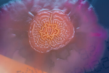 Bacterial colonies growing on agar plate.