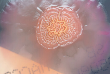 Bacterial colonies growing on agar plate.