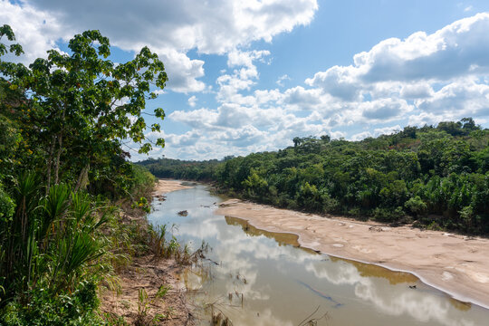 the river in the forest Frontera Madre de Dios Per&uacute;