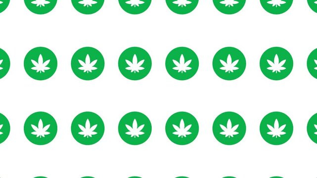 A seamless loop pattern of green cannabis leaves on a white background. The leaf icons smoothly and repeatedly change size and move up and down, symbolizing the cannabis culture