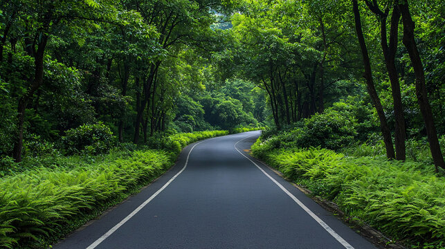 Serene Curved Road Embraced by Lush Greenery Creating a Tranquil Escape into Nature's Beauty
