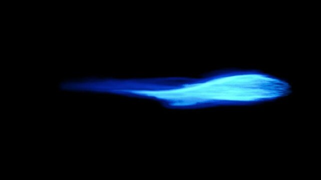 Flames butane gas burning isolated on black backgrounds rendering
