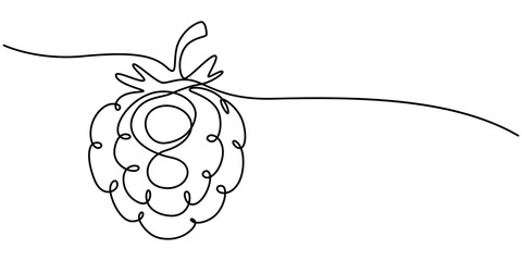 Raspberry vector color illustration, background, sketch banner for label design. One continuous line drawing of raspberry with lettering. Editable black stroke, Raspberry continuous one line drawing