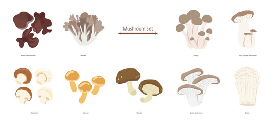 テクスチャーのあるきのこセットのベクターイラスト