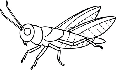 Grasshopper vector line art illustration