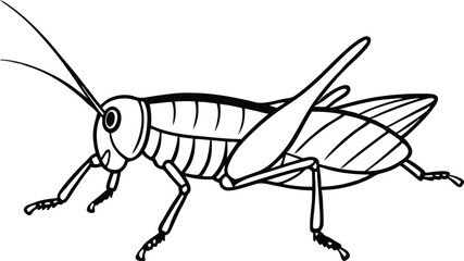Grasshopper vector line art illustration