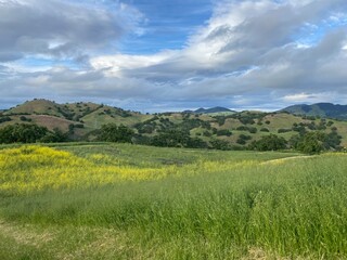 Obraz premium Hiking in the mountains in Contra Costa County.