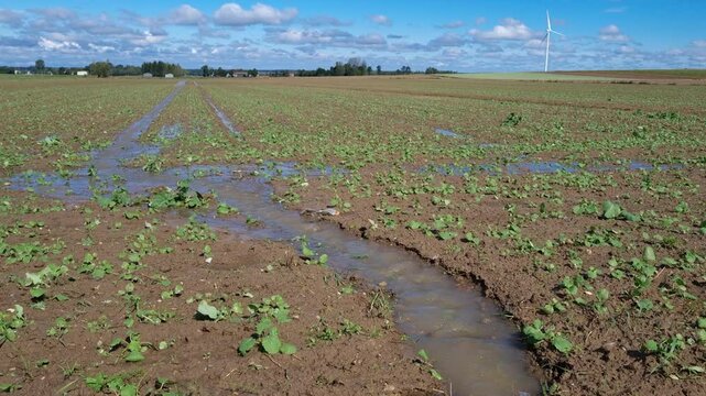 rozlewiska na polach, zalane pola i wylane rowy, backwaters in fields, flooded fields and poured ditches