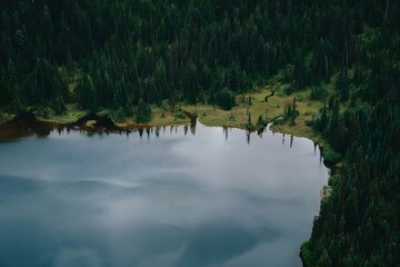 reflection of trees in the lake