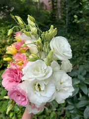 Floral 