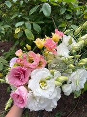 bouquet of roses