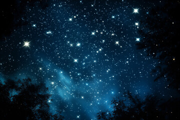 Fototapeta premium Stars in the Sky. Night landscape. Galaxy night landscape