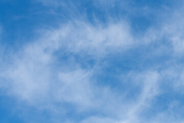 The afternoon sky with white soft high cirrus clouds
