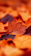 Vibrant autumn leaves cover the ground, showcasing hues of orange and red in a peaceful natural setting
