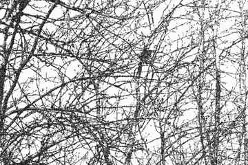 Obraz premium tree on sky abstract texture dot art, branch background 
