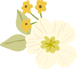 Cute pastel floral bouquet arrangements illustration